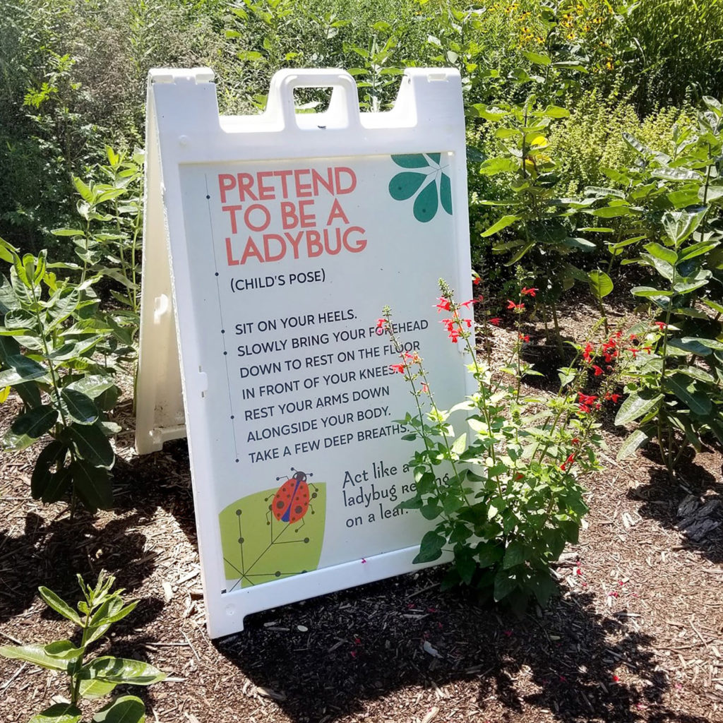 2020_PollinationInvestigation_ActivityBoard_Ladybug-crop